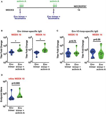 Harnessing Activin A Adjuvanticity to Promote Antibody Responses to BG505 HIV Envelope Trimers